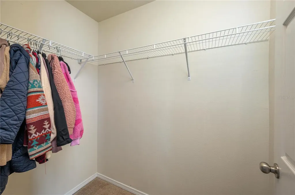 4953 White Sanderling Court Tampa FL 33619