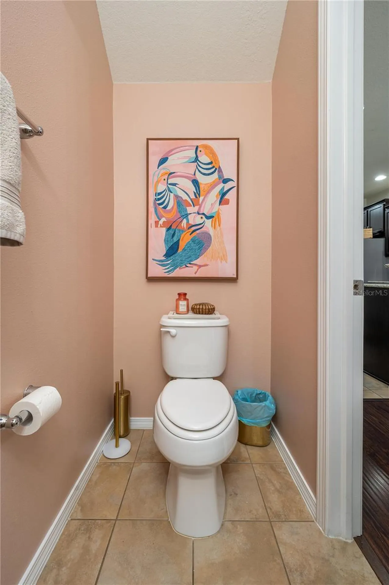 4953 White Sanderling Court Tampa FL 33619