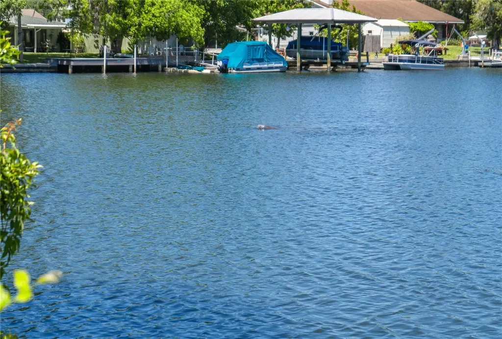 3861 N Ringdove Point Crystal River FL 34428