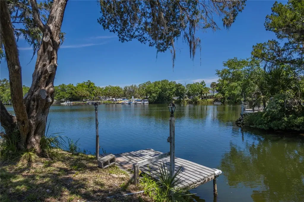 3861 N Ringdove Point Crystal River FL 34428