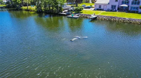3861 N Ringdove Point Crystal River FL 34428