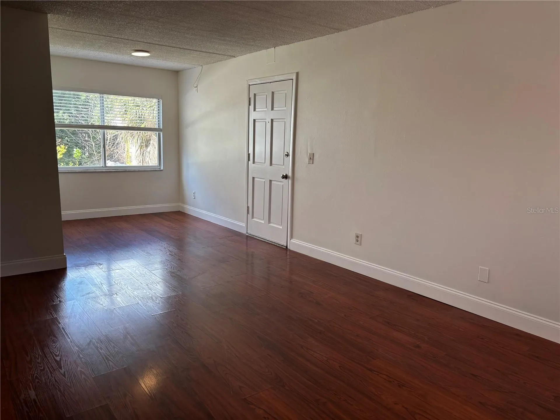 3206 W Azeele Street Tampa FL 33609