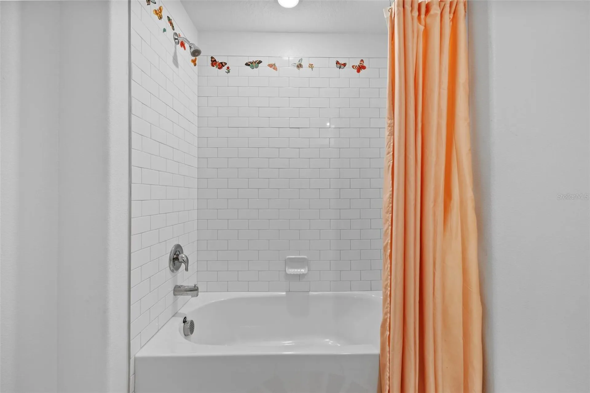 5554 Blue Azure Drive Wimauma FL 33598