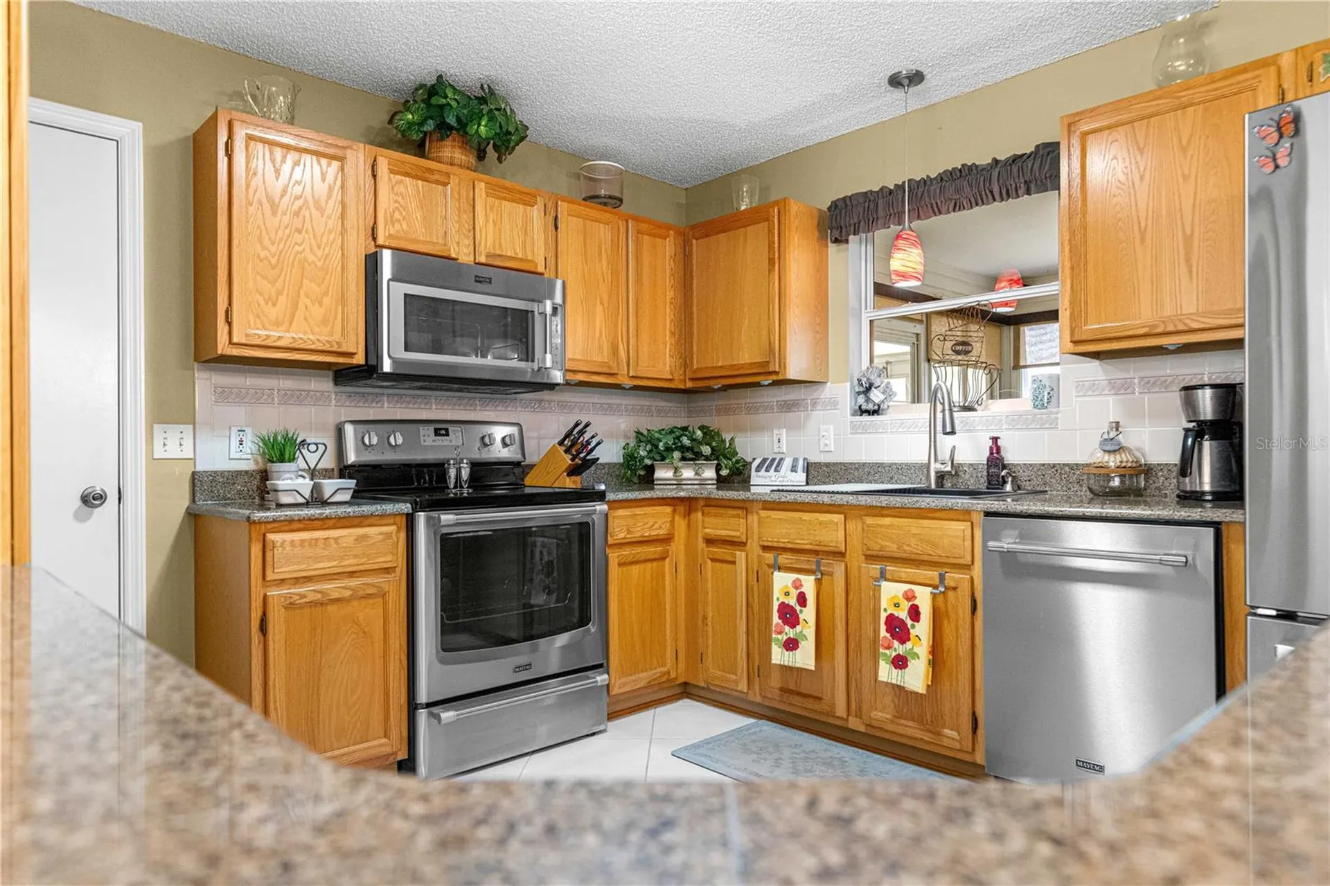 674 Camino Del Rey Drive The Villages FL 32159