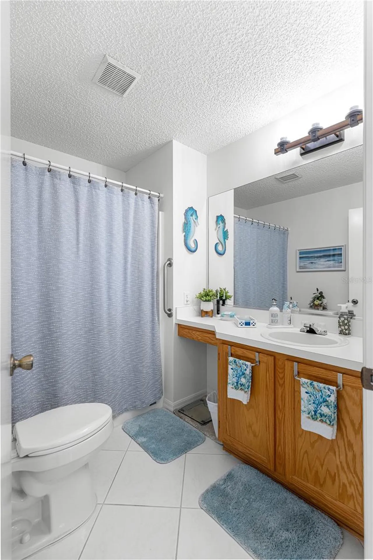 674 Camino Del Rey Drive The Villages FL 32159