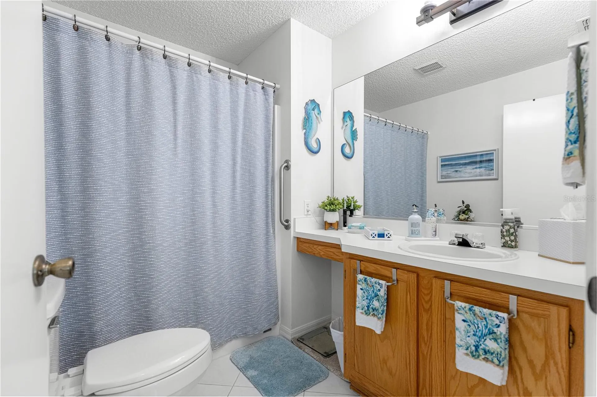674 Camino Del Rey Drive The Villages FL 32159