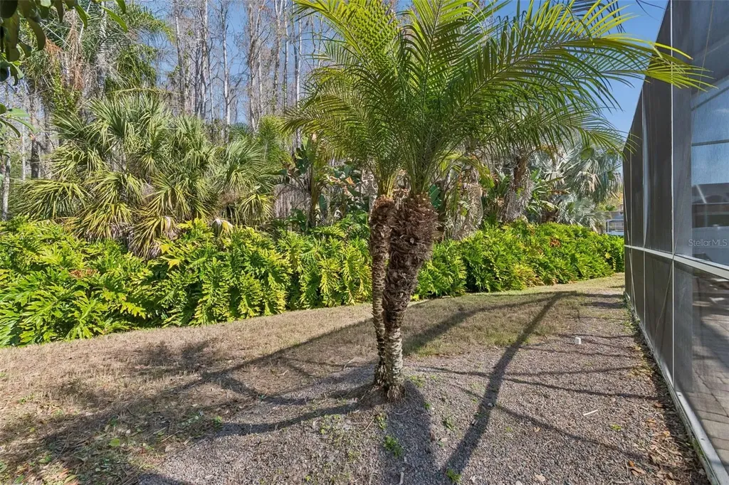 7703 Northaven Place New Port Richey FL 34655