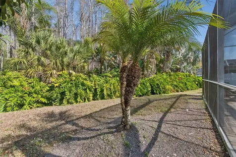 7703 Northaven Place New Port Richey FL 34655