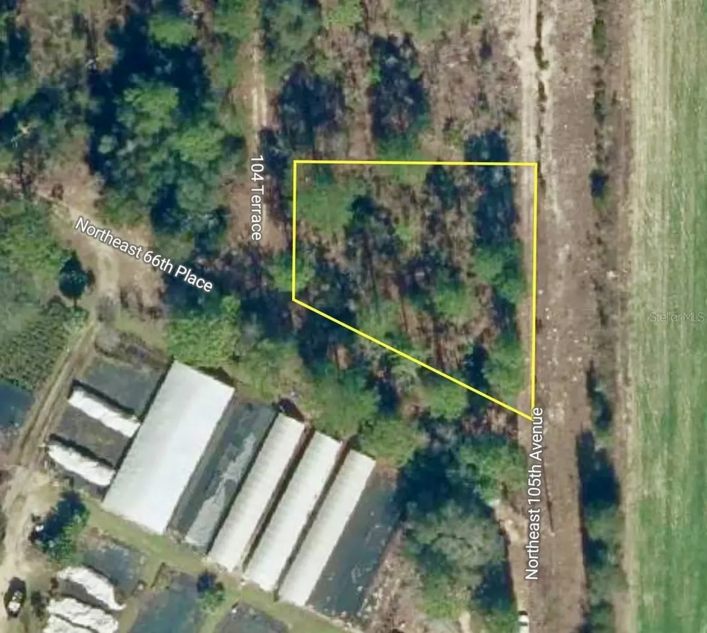 000 66th Place NE Bronson FL 32621
