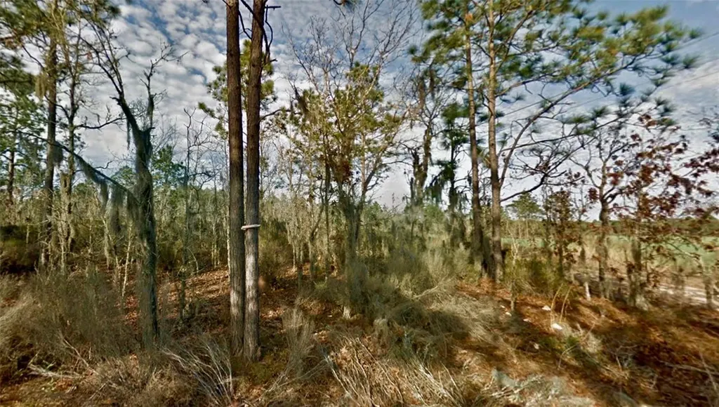000 66th Place NE Bronson FL 32621