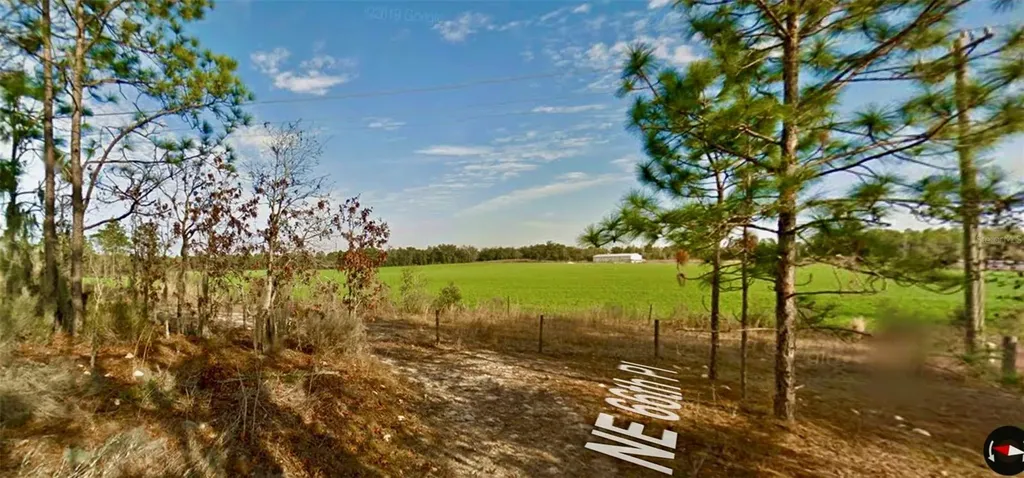 000 66th Place NE Bronson FL 32621