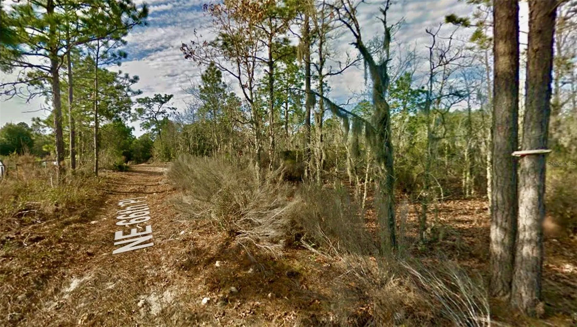 000 66th Place NE Bronson FL 32621