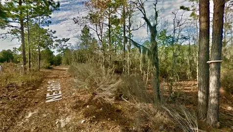 000 66th Place NE Bronson FL 32621