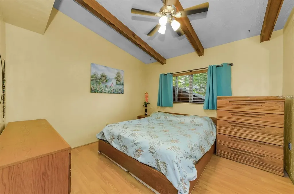 2602 Cyprus Drive Palm Harbor FL 34684