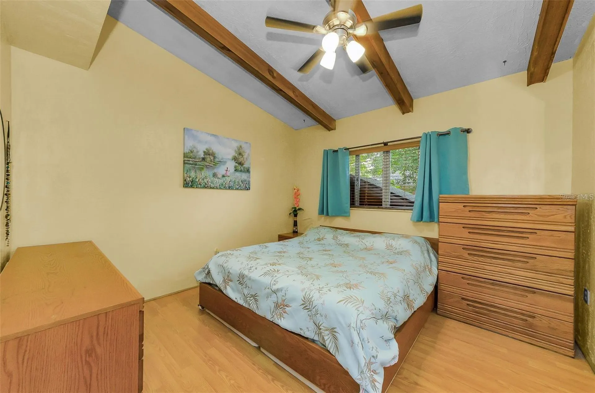 2602 Cyprus Drive Palm Harbor FL 34684