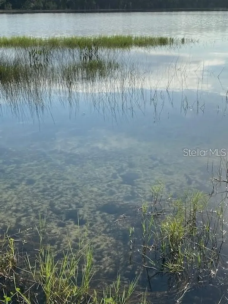 10819 SE 190th Court Ocklawaha FL 32179