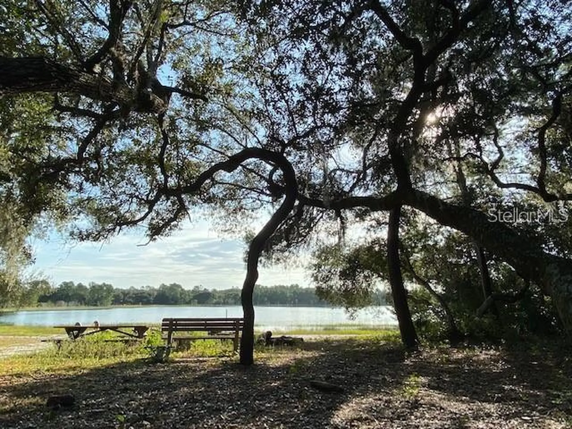 10819 SE 190th Court Ocklawaha FL 32179