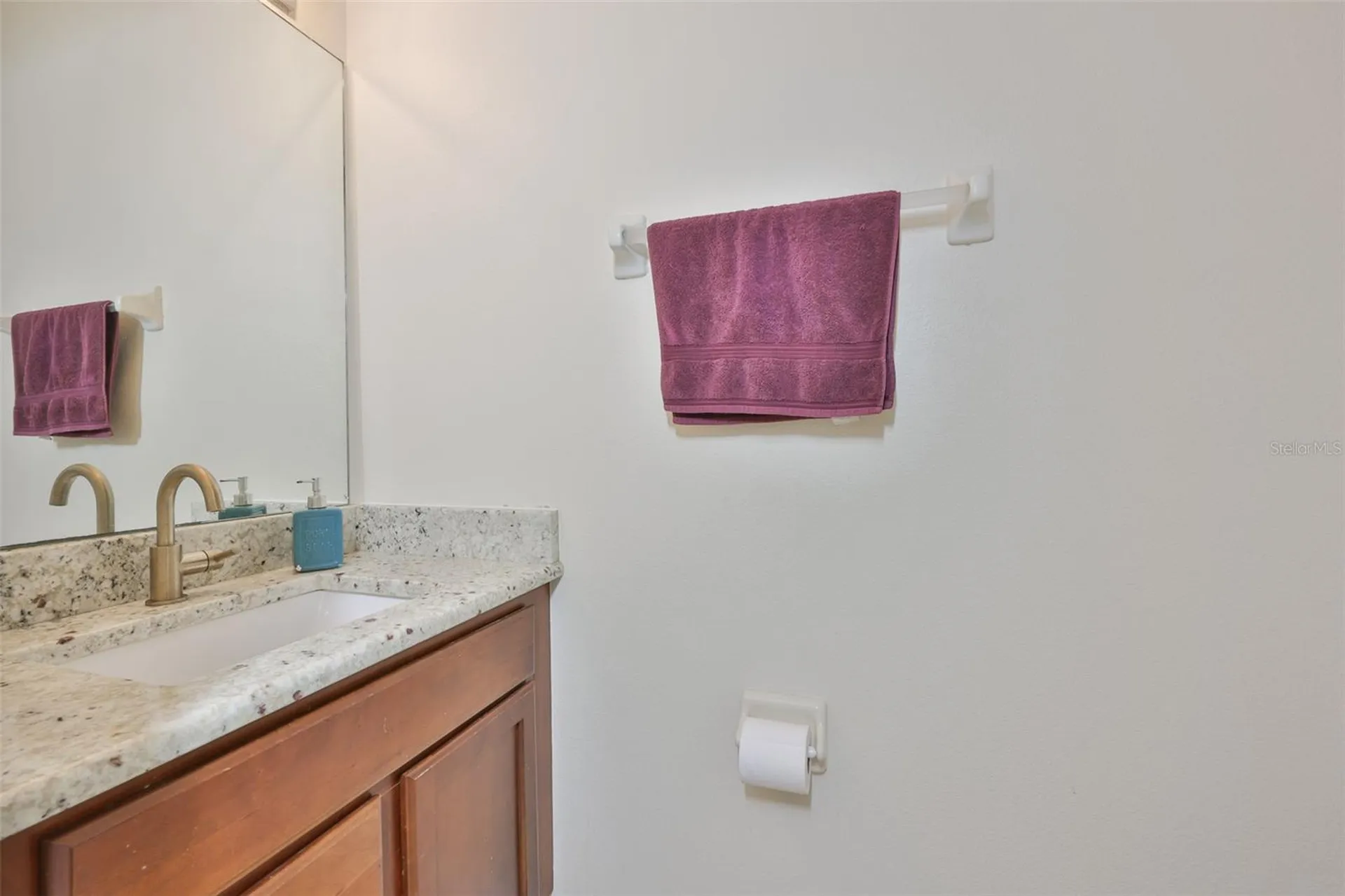 1307 Salem Orchard Lane Brandon FL 33511