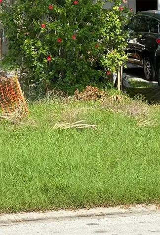 6813 Lyman Avenue Tampa FL 33610