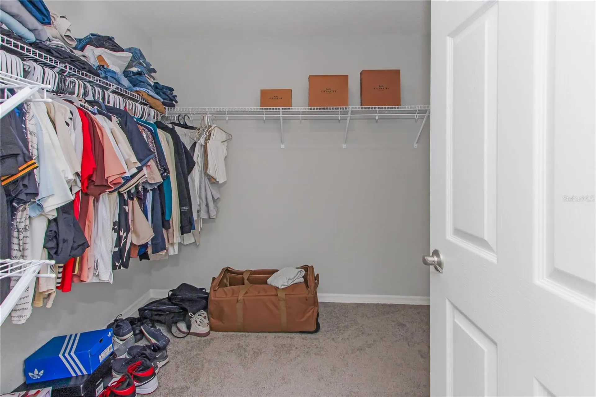 35598 Bellington Boulevard Zephyrhills FL 33541