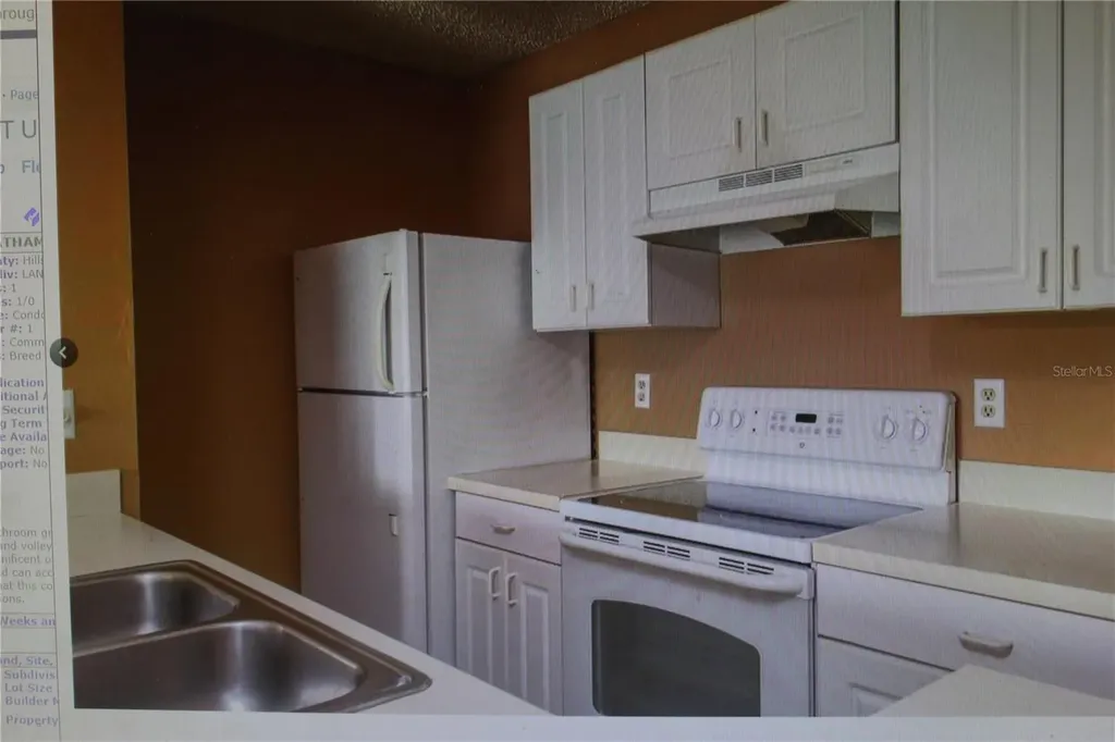4107 Chatham Oak Court Tampa FL 33624