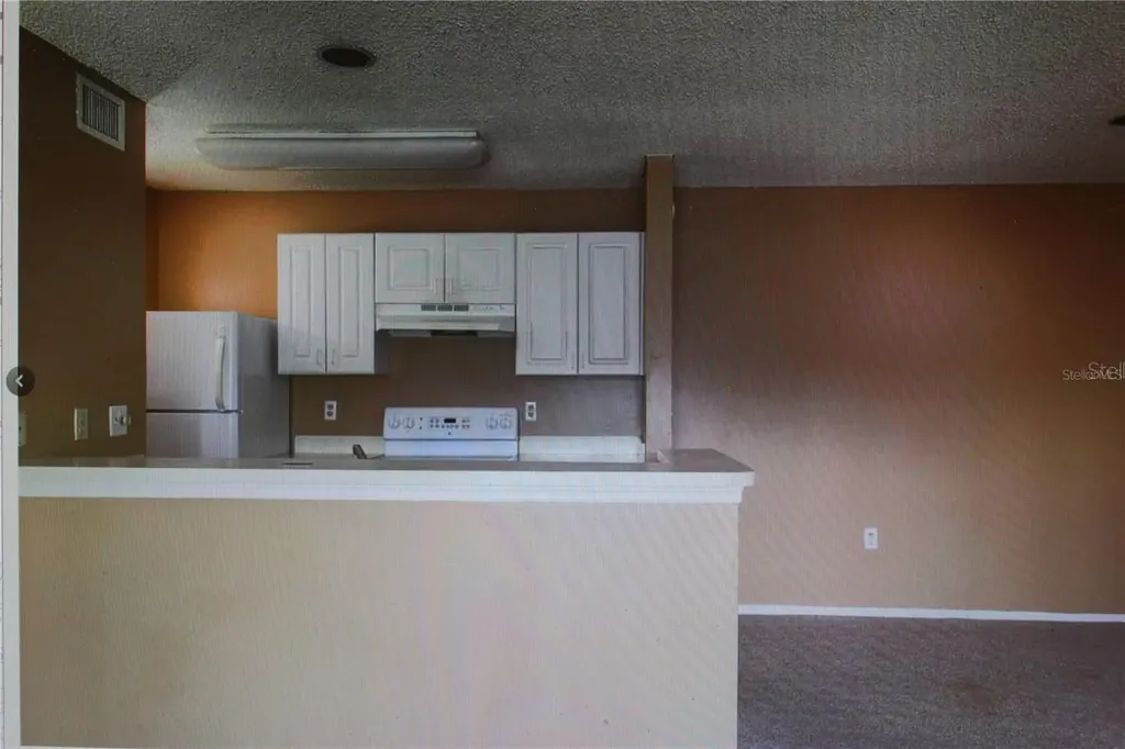 4107 Chatham Oak Court Tampa FL 33624