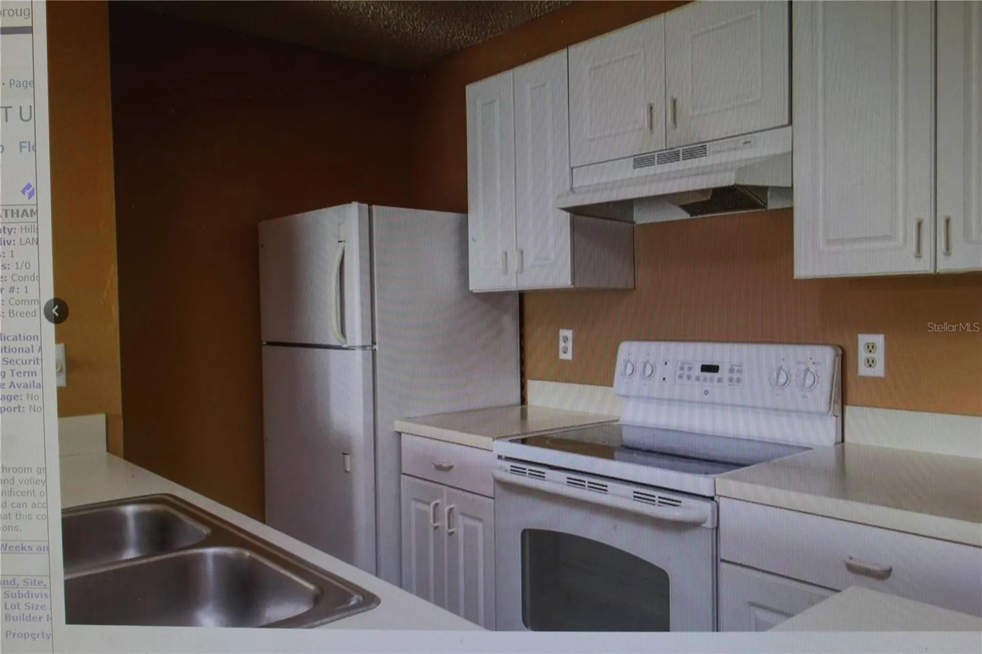 4107 Chatham Oak Court Tampa FL 33624