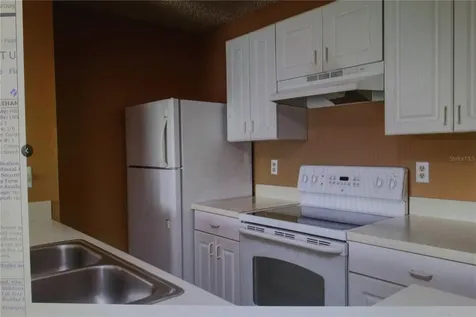 4107 Chatham Oak Court Tampa FL 33624