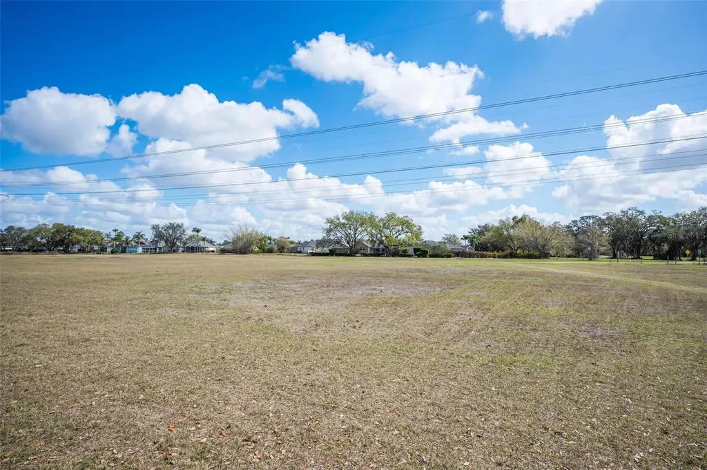 9736 Trumpet Vine Loop Trinity FL 34655