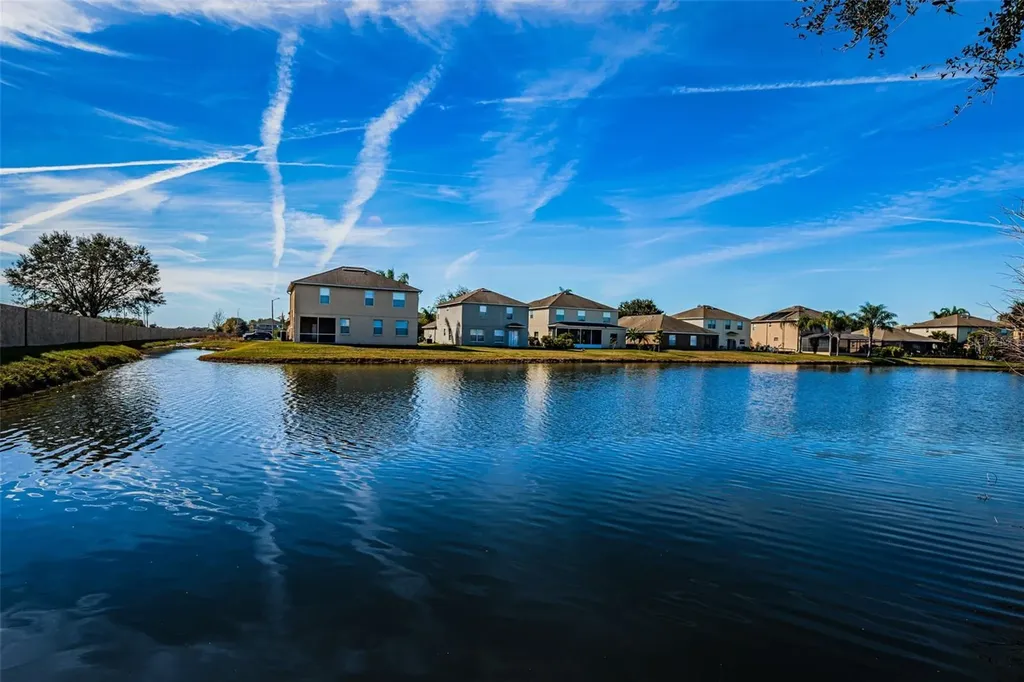 9736 Trumpet Vine Loop Trinity FL 34655