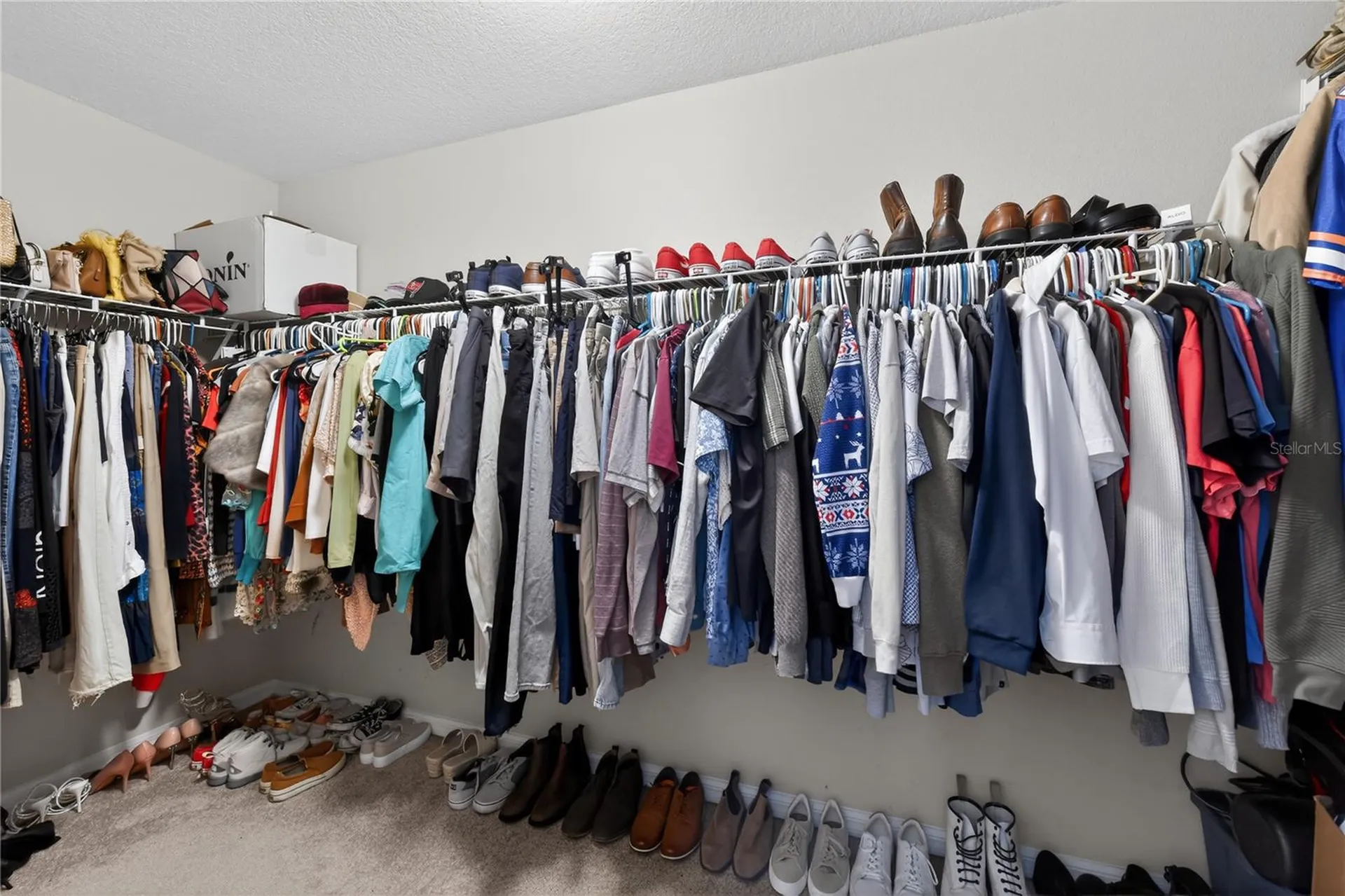 15536 Telford Spring Drive Sun City Center FL 33573
