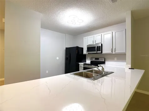 447 Arbor Lakes Drive Davenport FL 33896