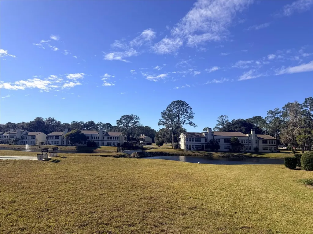 Wildwood FL 34785
