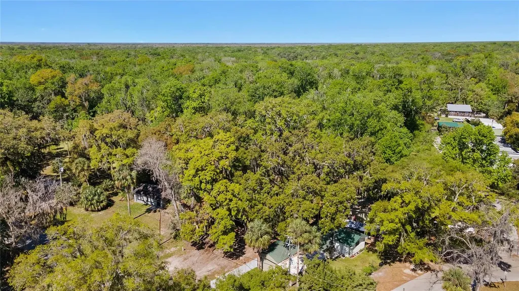 8533 W Miss Maggie Drive Homosassa FL 34448