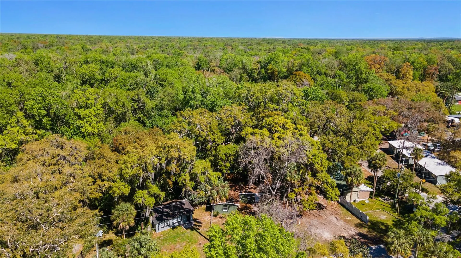 8533 W Miss Maggie Drive Homosassa FL 34448