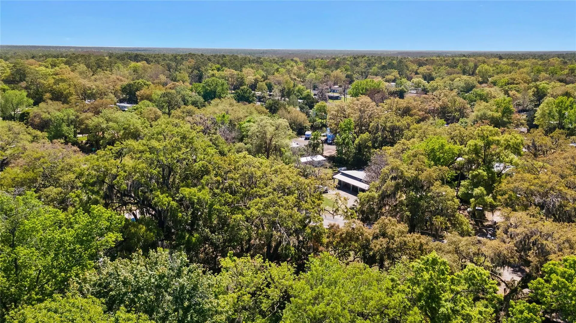 8533 W Miss Maggie Drive Homosassa FL 34448