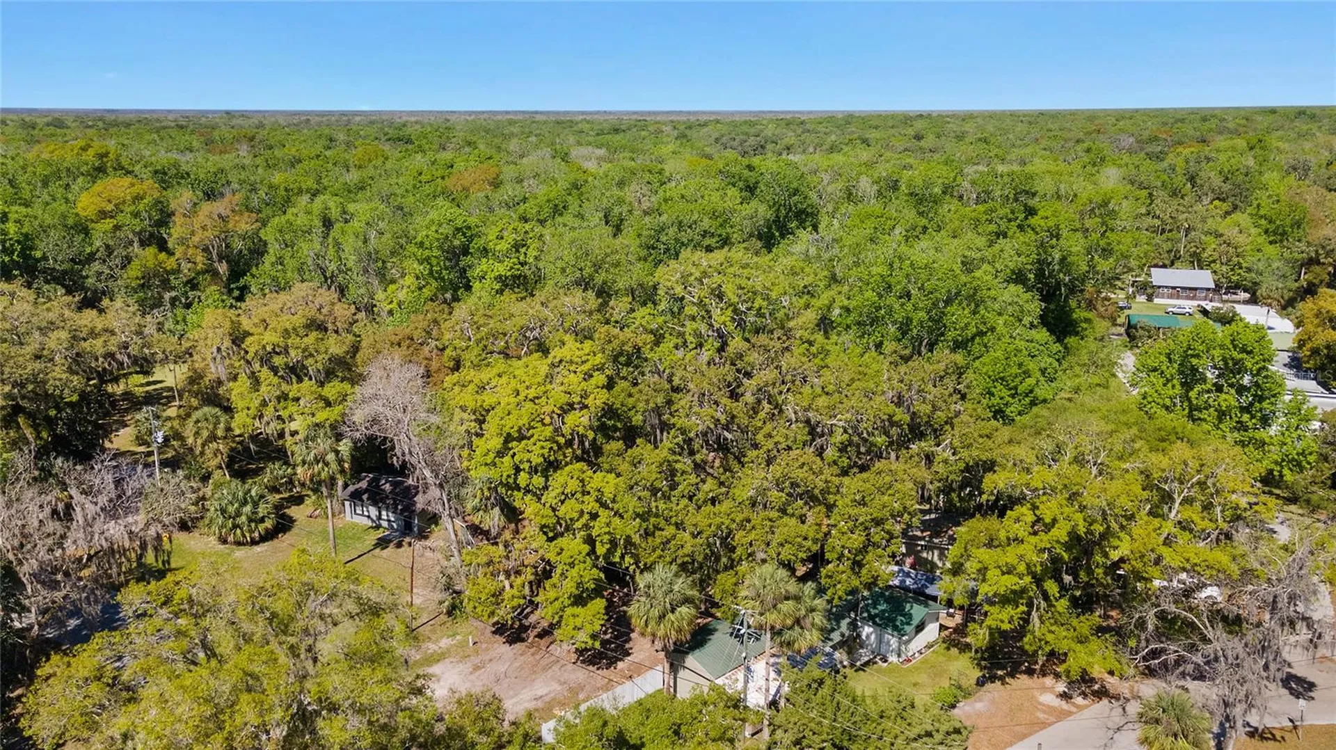 8533 W Miss Maggie Drive Homosassa FL 34448