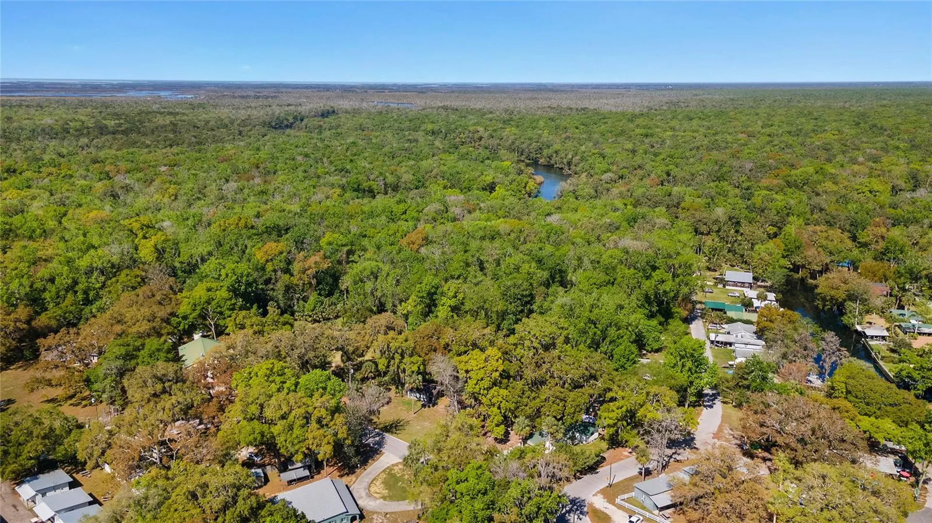8533 W Miss Maggie Drive Homosassa FL 34448