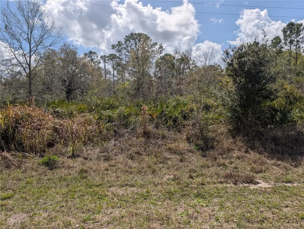 817 Poinciana Drive Indian Lake Estates FL 33855