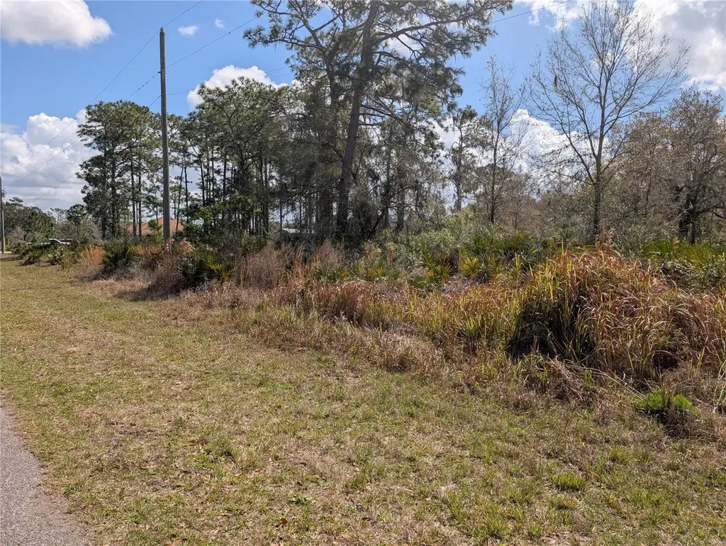 817 Poinciana Drive Indian Lake Estates FL 33855