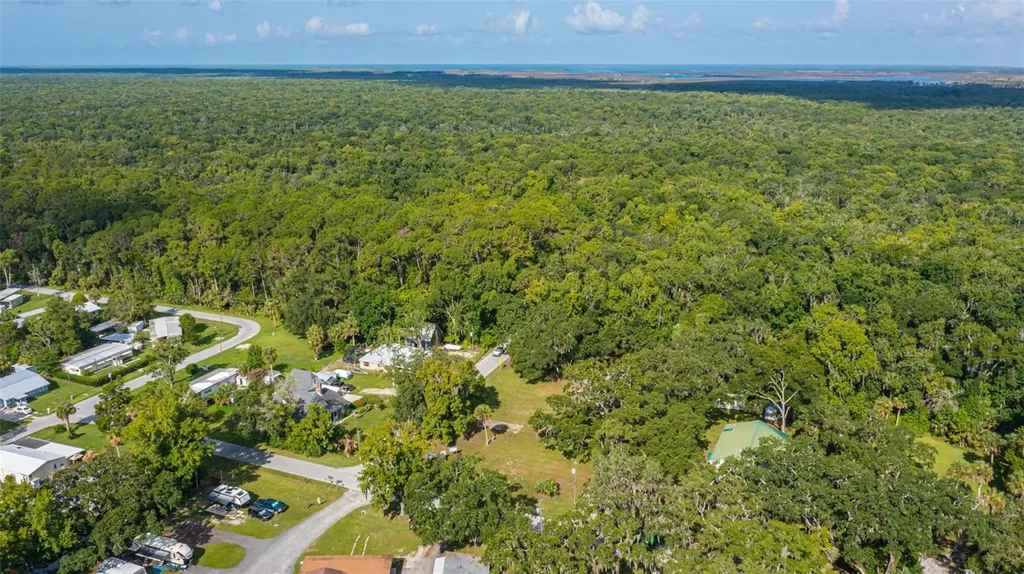 8585 W Miss Maggie Drive Homosassa FL 34448