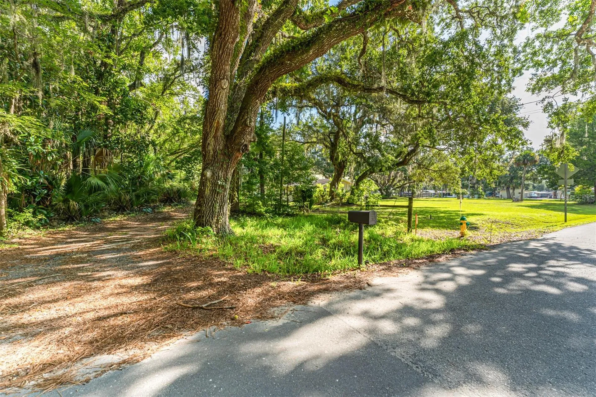 8585 W Miss Maggie Drive Homosassa FL 34448