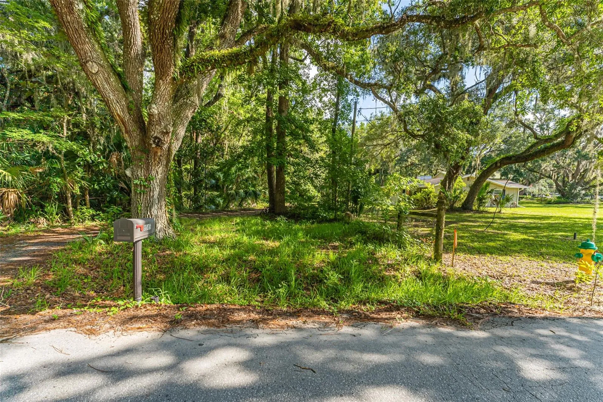 8585 W Miss Maggie Drive Homosassa FL 34448