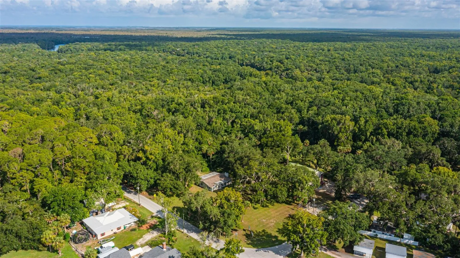 8585 W Miss Maggie Drive Homosassa FL 34448