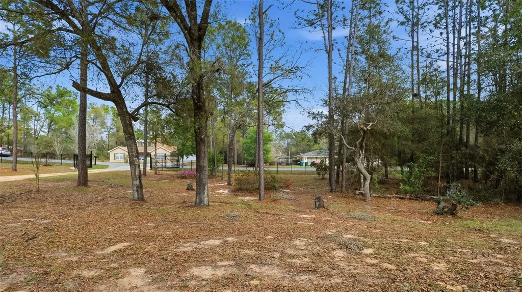 12092 S Hyacinth Point Floral City FL 34436