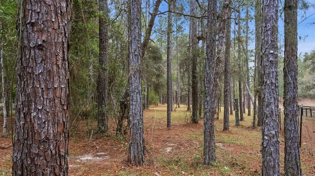 12092 S Hyacinth Point Floral City FL 34436