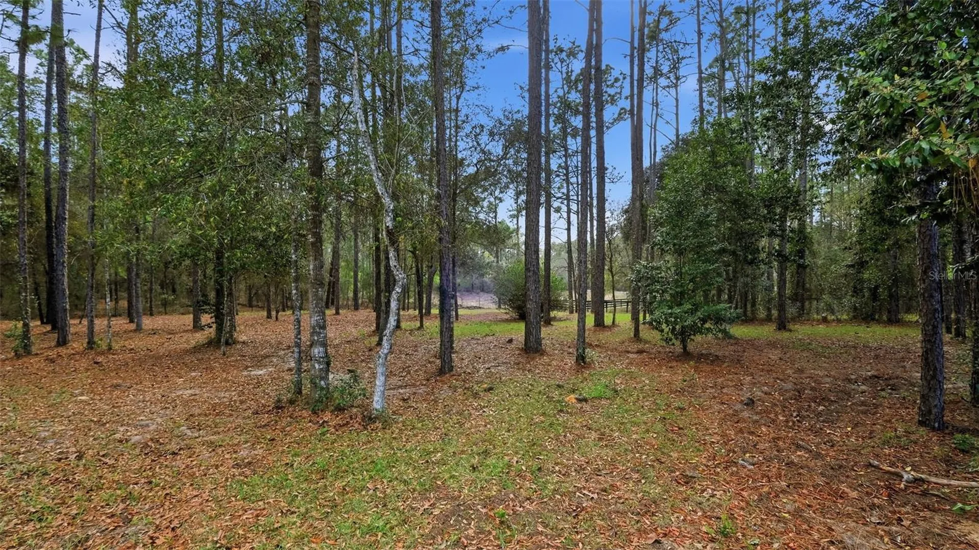 12092 S Hyacinth Point Floral City FL 34436