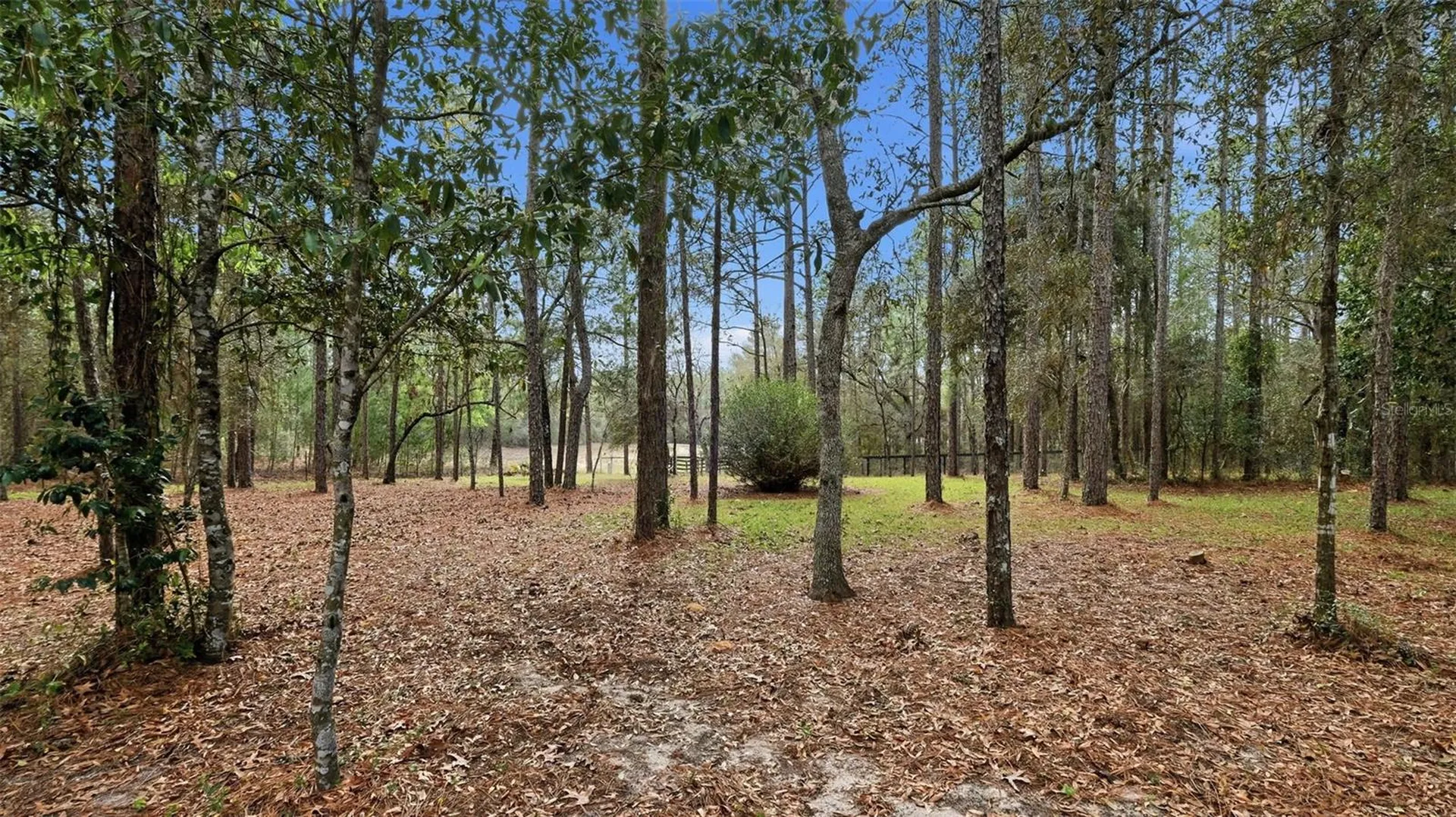 12092 S Hyacinth Point Floral City FL 34436