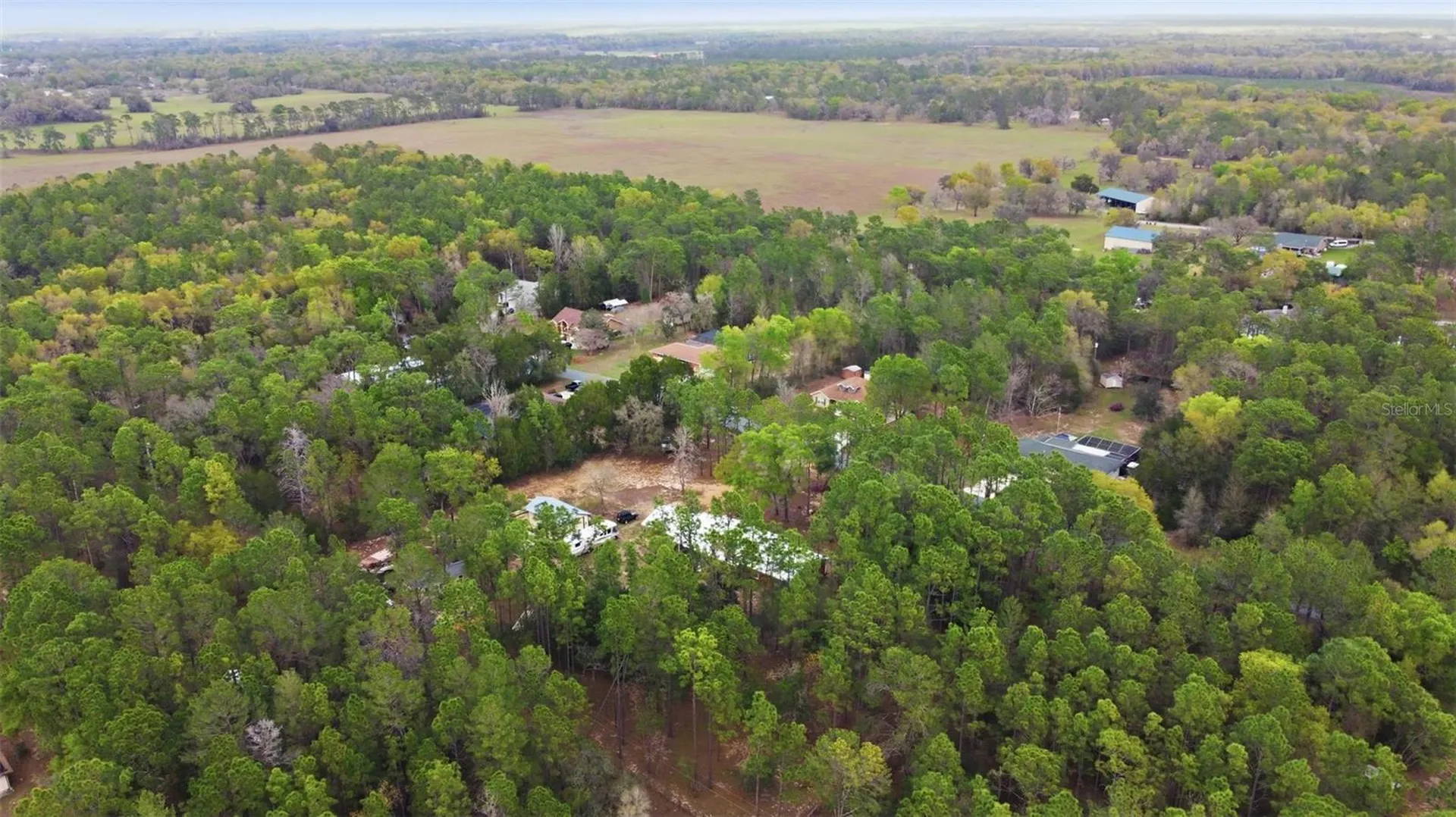 12092 S Hyacinth Point Floral City FL 34436