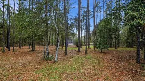 12092 S Hyacinth Point Floral City FL 34436